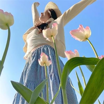 妙探双龙
