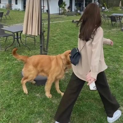 邻家诗话第四季